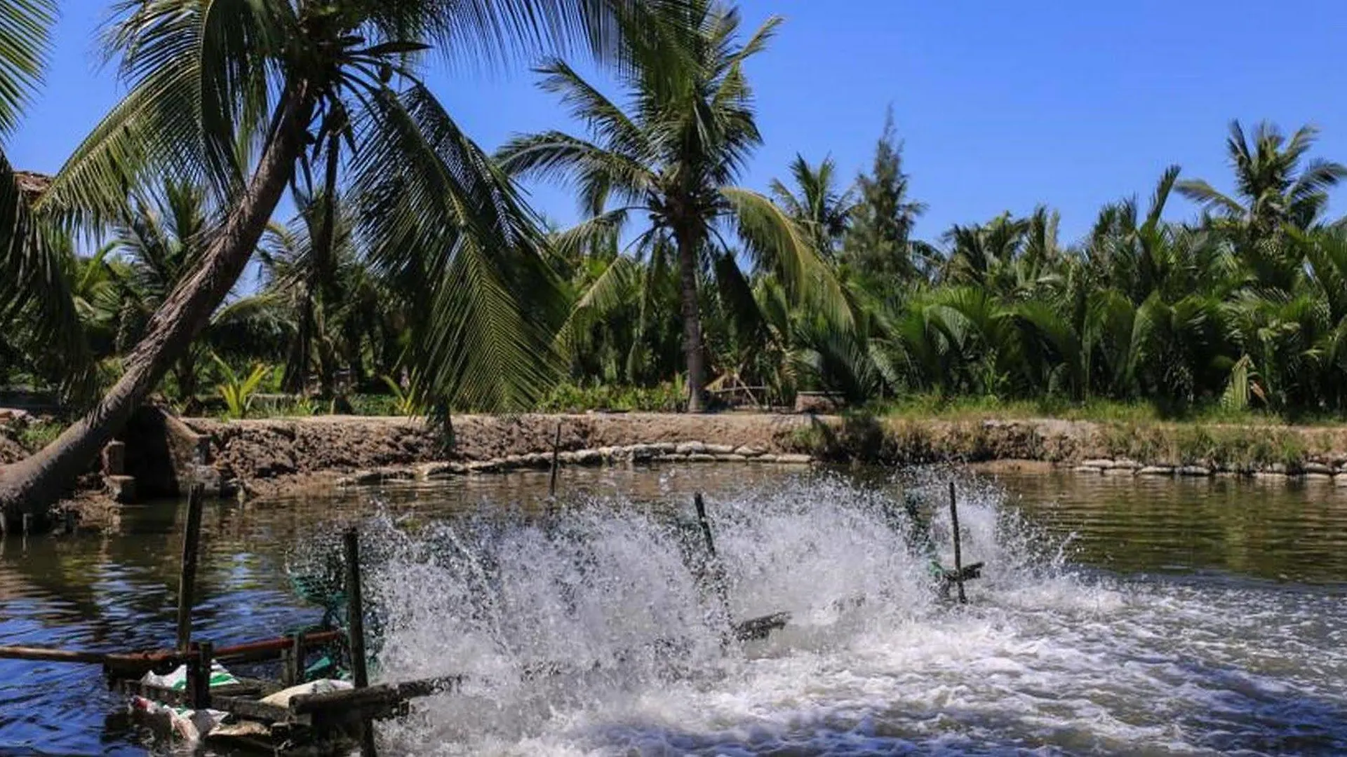 Pomelo Garden Boutique Villa Hoi An
